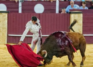 David de Miranda sustituye a Morante en Almería y toreará con Fortes