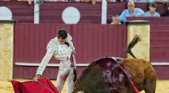 David de Miranda sustituye a Morante en Almería y toreará con Fortes