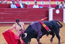 Fortes es ovacionado en Almería en una tarde en la que David de Miranda lo vuelve a hacer