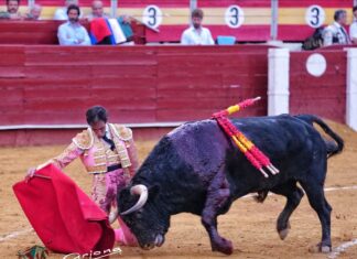 Fortes es ovacionado en Almería en una tarde en la que David de Miranda lo vuelve a hacer
