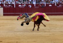 Daniel Artazos recibe el alta médica y ya se recupera en su domicilio