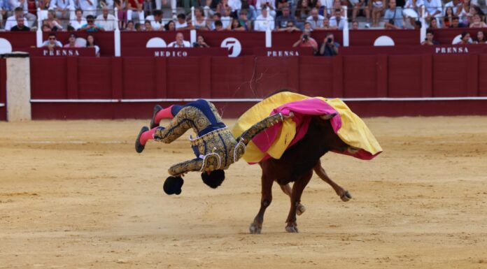 Daniel Artazos recibe el alta médica y ya se recupera en su domicilio