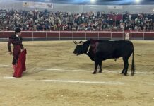 Dureza para el debut de Julio Alguiar en Calasparra