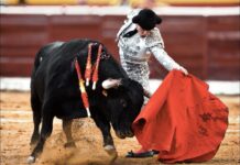 Candelas vive la felicidad en Villa del Prado