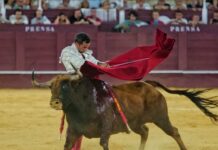 La Juventud Taurina de Málaga dedica su nuevo trofeo a David de Miranda