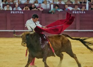 La Juventud Taurina de Málaga dedica su nuevo trofeo a David de Miranda
