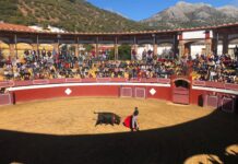 La Diputación impulsa este sábado una novillada en clase práctica en Cortes de la Frontera