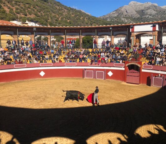 La Diputación impulsa este sábado una novillada en clase práctica en Cortes de la Frontera